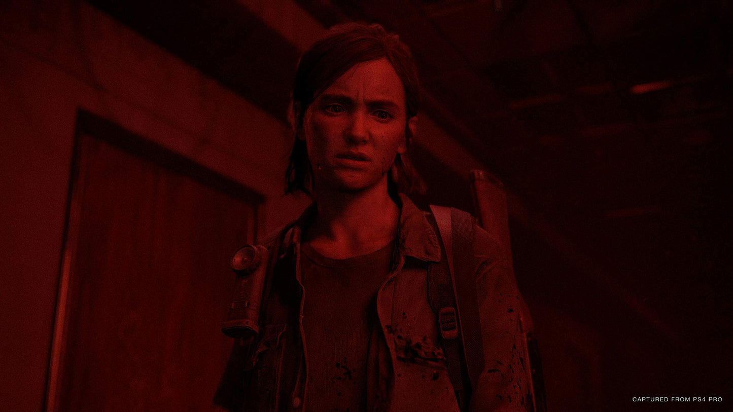 The Last of Us 2 (PS4)