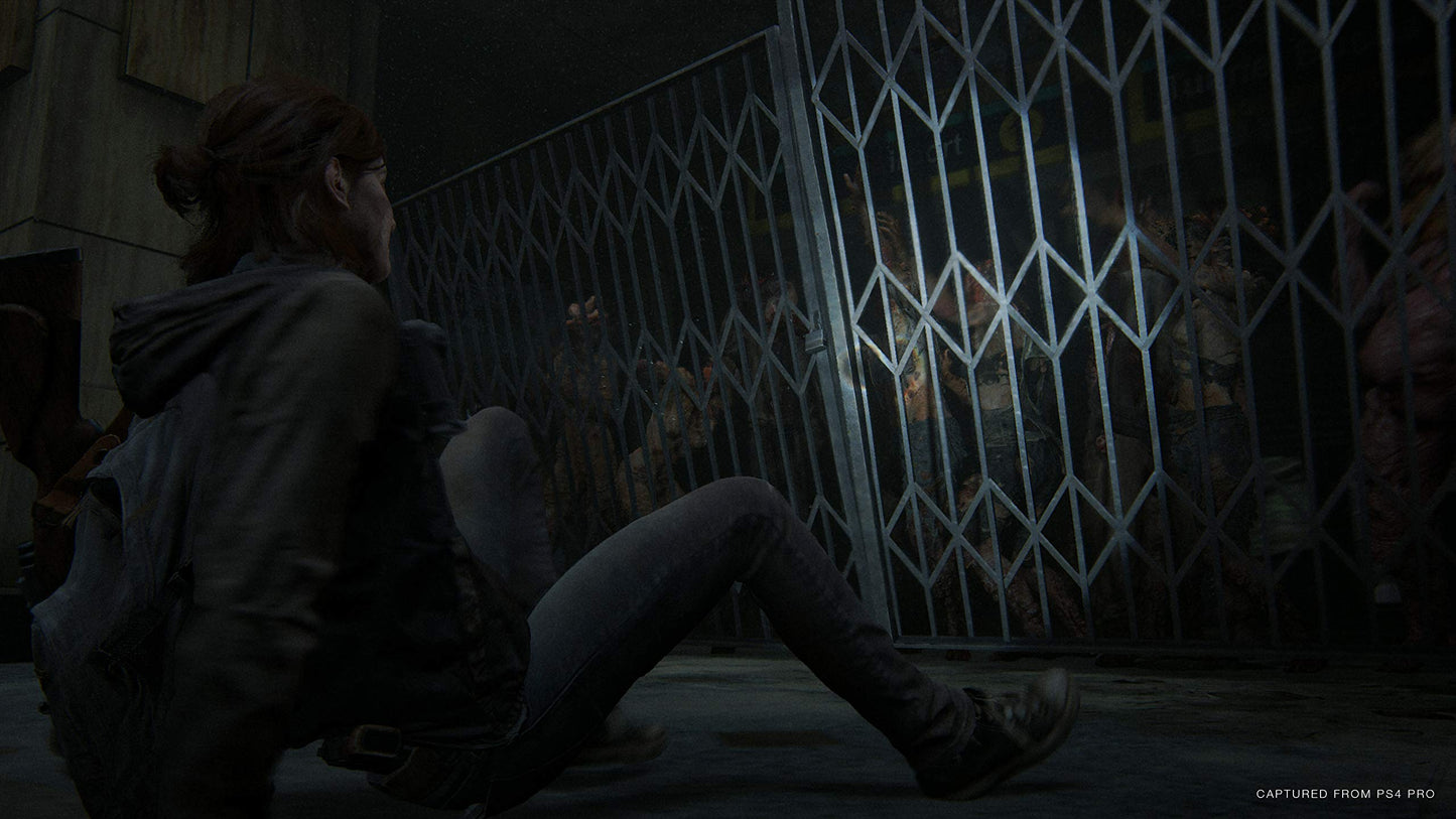 The Last of Us 2 (PS4)
